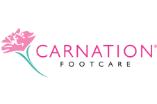 Carnation Carnation